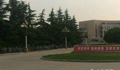 娱乐吃瓜酱洛阳理工学院,娱乐吃瓜酱带你揭秘校园风云