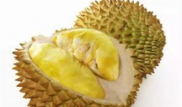 吃瓜娱乐间榴莲,热带果王背后的传奇与争议